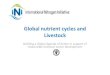 Global nutrient cycles and Livestock...30 40 50 4000 5000 6000 7000 World population (millions) % world population, fertilizer input, meat production world population world population