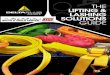 ZZZ EROWVDQGWRROV FRP - Bolts And Tools Center · 2017-11-19 · Webbing slings are made from high tenacity 100% polyester (PES) webbing material manufactured according to EN standards