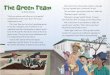 The Green Team - Literacy Onlineliteracyonline.tki.org.nz/content/download/37247/415236/file/The+Gr… · gardening, gardens, silverbeet, teamwork, vegetables JUNIOR JOURNAL 52 “Grab