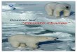 Dossier CAI sul Climate Change - Gogna Blog · 2018-12-06 · 1 - Gli Scenari di Emissione SRES 45 2 - Impatti futuri dei cambiamenti climatici sui sistemi naturali e umani 46 3 -