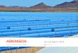 ABENGOA Annual Report 2014 · 2016-02-21 · ABENGOA Annual Report 2014 | 02 Main figures page.6 Main figures During the period 2004-2014 Abengoa’s revenues have grown at a compound