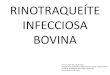 RINOTRAQUEÍTE INFECCIOSA BOVINA...RINOTRAQUEÍTE INFECCIOSA BOVINA Virus Taxonomy Classification and Nomenclature of Viruses Ninth Report of the International Committee on Taxonomy