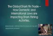 The Global Shark Fin Trade How Domestic and International Laws are Impacting Shark ... · 2020-02-01 · Although, many countries participate in shark fishing activities, the shark