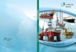 SEMBCORP MARINE vessels at 11 per cent, bulk carriers at 8 per cent, passenger vessels at 2 per cent