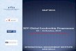 XIV Global Leadership Programme 2015 Brochure.pdf · ESC Rennes, France, FSFM Germany, Grenoble France, JAMK Finland, Nyenrode Business University, Netherlands etc. Besides this IMI