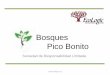 Bosques Pico Bonito - Forest Trends … · • CURLA- Centro Universitario Regional del Litoral Atlántico • FHIA-Fundación Hondureña de Investigación Agrícola • ESNACIFOR-Escuela