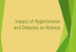 Impact of Hypertension and Diabetes on Kidneys · Diabetes and Kidney Disease ØDiabetes is the leading cause of kidney failure in adults in the U.S. (CDC, 2017). ØInjured blood