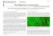 Turfgrass Insects - extension.entm.purdue.edu3 Integrated Management of Turfgrass E-61-W Figure 4. Using a disclosing solution made by mixing 1 ta-blespoon of liquid dishwashing detergent