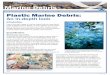 Plastic Marine Debris: An in-depth look - Alaska DEC · Plastic Marine Debris: An in-depth look Introduction One of the main types of marine debris that you hear about today is plastic