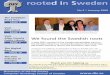 rooted in Swedenthe Swedgen Road Tour visiting Minneapolis and Cambridge, Minnesota; Rockford, Illinois and Jamestown, New York. At lectures and workshops, we showed how to find your