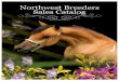 2012 Northwest Sales Catalog · 2012 Northwest Sales Catalog. Contact: WOLF CREEK RANCH – . Phone: 780-352-791. 7. Email: lwolfcrk@incentre.net. Horse’s Name: SUNDANCE LB ONDELE