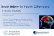 Brain Injury In Youth Offenders - JCJC...What We Will Cover •Facts about brain injury •Impact on youth in offenders •Highlights of ongoing projects in PA •Implications and