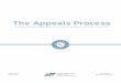 The Appeals Process - Colorado · 2019-10-07 · Late Appeals Any written appeal received after the 20-calendar-day deadline is considered late. If you file your appeal late, the