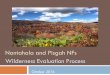 Nantahala and Pisgah NFs Wilderness Evaluation Process · 2018-09-18 · Nantahala and Pisgah NFs Inventory of lands that may be suitable for inclusion in TWPS Author: USDA Forest