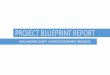 PROJECT BLUEPRINT REPORT€¦ · BLUEPRINT REPORT | Major Themes •Modernize the zone district line-up and use allocations Dis trict % Acres District % Acres Airport Industrial (AI)