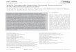 Matrix Topography Regulates Synaptic Transmission at the ...libna.mntl.illinois.edu/pdf/publications/245_Ko.pdf · topography regulates neural innervation and synaptic transmission
