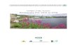 Clifden Tidy Towns Biodiversity Plan 2014 to 2018 Plan Clifden5.pdf · also underpins the local economy as many of the 968, 000 visitors to Galway in 2012 (Failte Ireland, 2013) visit