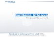 Solitaire Infosys - Punjabi Universitypupdepartments.ac.in/placement/2020_Soltaire.pdf · o Search Engine Optimization, SEO o Social Media Optimization, SMO ... reputed Educational