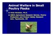 Animal Welfare in Small Poultry Flocksconferences.illinois.edu/resources/20033/... · nMost small-scale poultry producers do not participate in welfare assurance programs nProducer