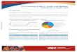 IFC Financing to Micro, Small, and Medium ... - World Bank · * World 19% MSME LOANS BY IFC CLIENTS, DECEMBER 2009 ... the Bank decided to enter this segment in of IFC taking equity