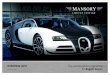 OVERVIEW 2016 for Bugatti Veyron - Mansoryfile.mansory.com/overview/Bugatti_Vivere/MANSORY... · THE LINEA VIVERE PROGRAMME FOR YOUR BUGATTI VEYRON 16.4 The newly developed side skirts