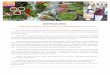 Vinod - Vietnamen.toureast.com/Portals/0/img/Vinod - Vietnam(interactive).pdf · Chef!Vinod!Lohtia! Ambassador)of)Cuisine,Food)Connoisseur,)and)Experienced)Culinary)Tour)Escort)!