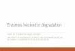 Diaspora Stiintifica – 2016 - Enzymes involved in …...and Biotehnol and Biotehgen research centres (2012-2016) Scientific papers (2013-2015) 0 10 20 30 40 50 60 70 2013 2014 2015