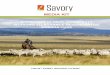 MEDIA KIT - Savory Institute · media kit a thriving global community working to advance regenerative agriculture. 1500 28th street, boulder, co 80303