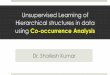 Unsupervised Learning of Hierarchical structures in data ...vineethnb/indoukworkshop... · Unsupervised Learning of Hierarchical structures in data using Co-occurrence Analysis 