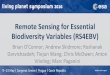 Remote Sensing for Essential Biodiversity Variables (RS4EBV) · Vrieling; Marc Paganini. Aim and Objectives •To develop methods to map and monitor EBVs from Sentinel-2 in support