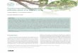 Functional specialization and phenotypic generalization in ... · Functional specialization and phenotypic generalization in the pollination system of an epiphytic cactus Cristiane
