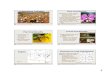 Zoophilous Pollination Plant Cost-Benefitsadamoliverbrown.com/wp-content/uploads/2012/09/BIO... · BIO 4134: Plant-Animal Interactions BIO 4134: Plant-Animal Interactions Handling