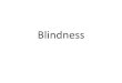 Blindness · 2020-03-27 · Definition of blindness •WHO proposed a uniform criterion and defined blindness as follows •“ Visual acuity of LESS THAN 3/60 (Snellen) or its equivalent”