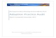 Adoption Practice Audit - British Columbia · 2017-12-22 · not achieved for all of the measures in the audit tool ( ACM 1 to ACM 14). The tables contain findings for measures that