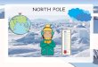 NORTH POLE · NORTH POLE. WHO LIVES THERE? WHERE DO THEY LIVE? IGLOOS. HOW DO THEY MOVE? WHO LIVES THERE TOO? WHAT CAN YOU SEE THERE? NORTHERN LIGHTS. POLAR BEARS. PENGUINS. REINDEER