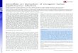 microRNAs are biomarkers of oncogenic human papillomavirus ... · miR-16, miR-25, miR-22, and miR-29 in HVK-derived raft tis-sues infected with either HPV16 or HPV18 (Fig. S2). It