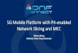 5G Mobile Platform with P4-Enabled Network Slicing and MEC - Open Networking … · 2019-09-02 · 5G Mobile Platform with P4-enabled ... • Calico:Good performance for deliver native
