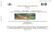 RESETTLEMENT ACTION PLAN (RAP)...RP1225 V10 2 RAP Basic Data/Information No. Subject Data 1 Intervention Site Iyiuzo – Ihioma - Ogberuru Gully Erosion Site, Orlu Imo State 2 Need