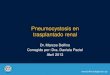 Pneumocystosis en trasplantado renal · como defectos congénitos de la inmunidad. • Vavra y Krucera (1970): plantean que es un hongo. • Peter Walzer (1974): 194 casos: malnutrición,