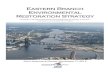 Eastern Branch Environmental Restoration Strategy · 2017-03-21 · Eastern Branch Environmental Restoration Strategy - 5 The Colonna’s houseboat, permanently marooned by a hurricane,