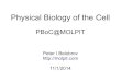 Physical Biology of the Cellat)MOLPIT.pdf · 2019-09-16 · Physical Biology of the Cell [1 ed.] Garland Science. 2008. 826 p. Robert Brooks Phillips, Jane Kondev, Julie Theriot