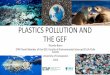 PLASTICS POLLUTION AND THE GEF · 2018-06-24 · Plastics Impacts in Different GEF focal Areas •Chemicals and waste: some POPs are used as chemical additives in some plastics, and