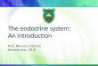 The endocrine system: An introduction - JU Medicine...What does “endocrine” mean? The endocrine system is a collection of ductless glands that secrete chemical messengers into