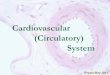 Cardiovascular (Circulatory) Systembayanbox.ir/view/4544090612366826048/Histology.pdf · Aorta & its Main Branches Thick Intima Media Plenty of Elastic Fibers & Lamina (40-70 Layer)