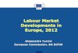 Labour Market Developments in Europe, 2012 · Labour Market Developments in Europe, 2012 Alessandro Turrini European Commission, DG ECFIN
