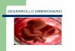 DESARROLLO EMBRIONARIO - unq.edu.arplmenna.blog.unq.edu.ar/.../8/2013/03/desarrollo-emb.pdf · 2013-11-27 · Las etapas que caracterizan al desarrollo embrionario son las siguientes: