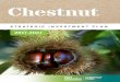 Chestnut - Horticulture Innovation Australia · gate value of $10.5 million, and a wholesale value of fresh supply of $12.3 million (Australian Horticulture Statistics Handbook 2014/15)