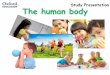 Study Presentation The human body€¦ · The organization of human beings Cells Like all animals, human beings are made up of animal cells. Animal cells have three main parts: the