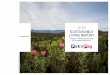 - Pick n Pay Investor Relations€¦ · The Pick n Pay Sustainable Living Report (SLR) 2019 provides a view of how our business is responding to social and environmental challenges
