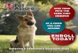 GIVE YOUR PETS THE CARE THEY DESERVE AT A PRICE YOU CAN AFFORDniagarabenefits.com/OCA/forms/Pet_Assure_Employee... · CARE THEY DESERVE AT A PRICE YOU CAN . AFFORD. ENROLL. TODAY!